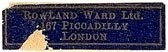 Rowland Ward, London, England (27mm x 8mm). Courtesy of S. Loreck.